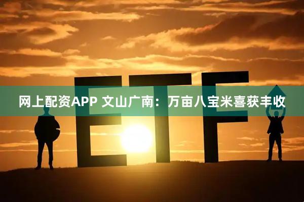 网上配资APP 文山广南：万亩八宝米喜获丰收